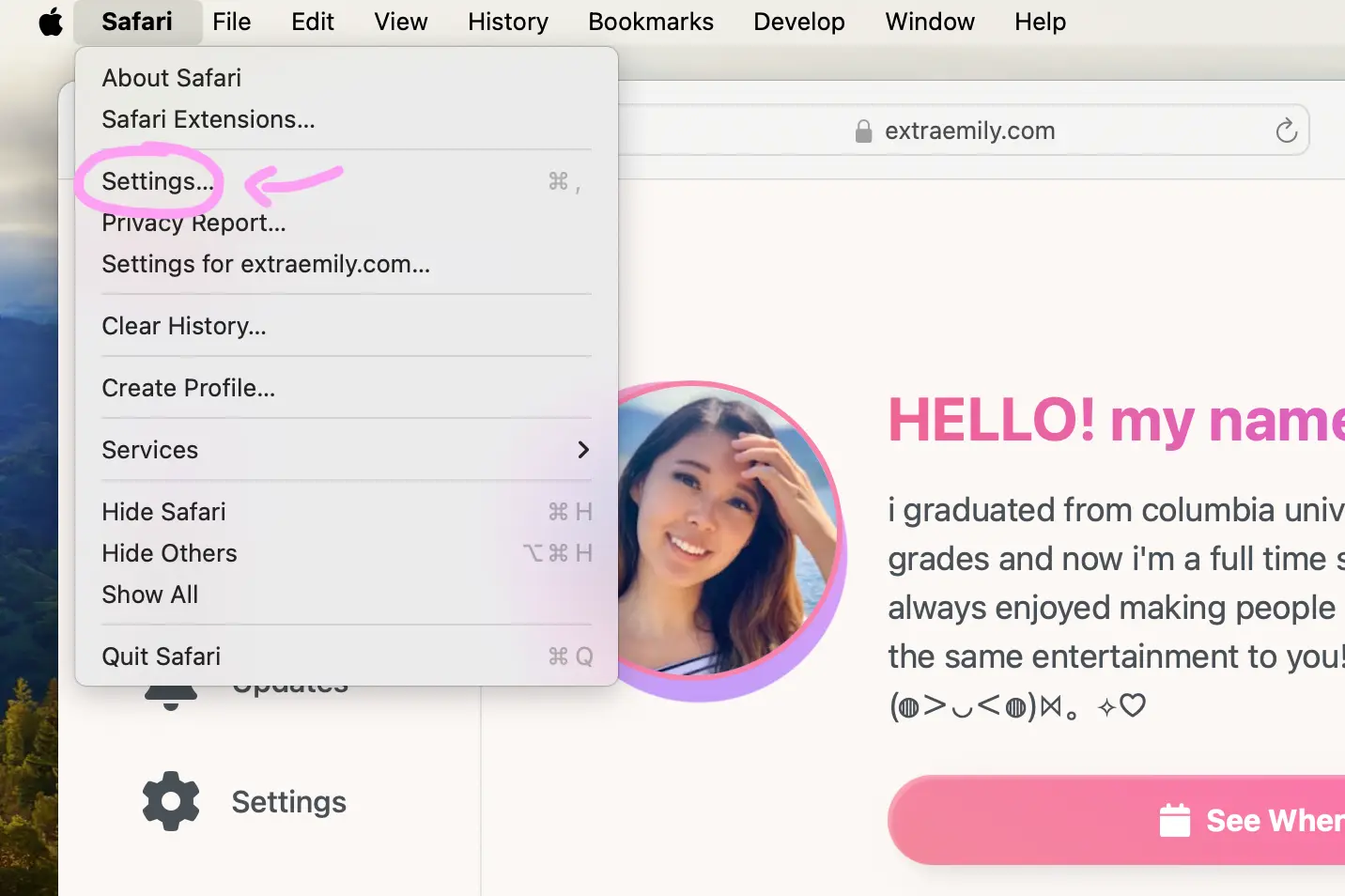 Open Safari Settings